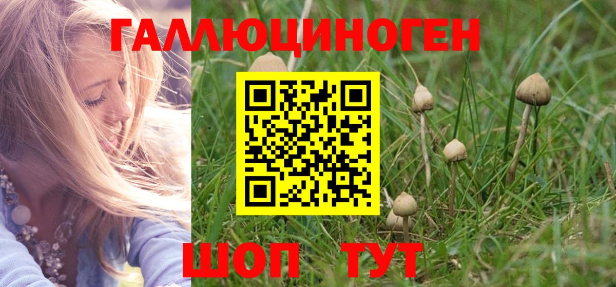 Галлюциногенные грибы прущие грибы Кулебаки
