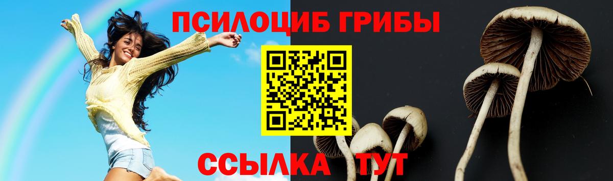 Псилоцибиновые грибы прущие грибы  Псилоцибиновые грибы Cubensis  Кулебаки  Вход с VPN 